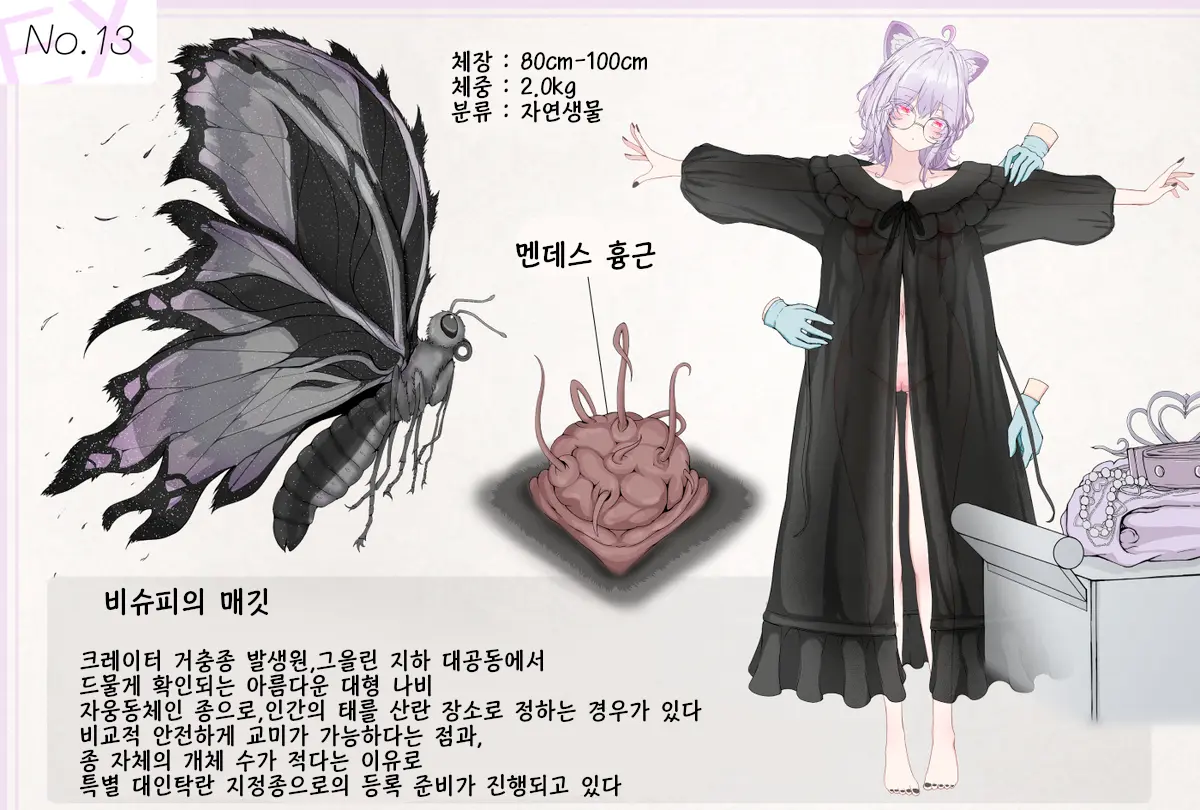 Mushi Research Report EX No.13